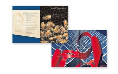 Brochure Designs for CIBA