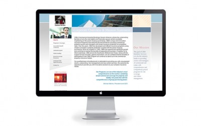 Professional Web Design for CIBA