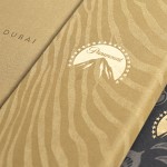 Corporate Brochure Design for Paramount