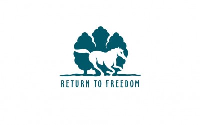 Business Logo Design for Return To Freedom
