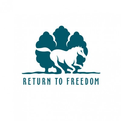 Business Logo Design for Return To Freedom